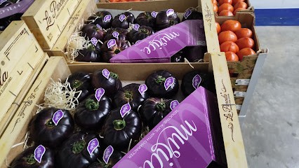 Yvan Des Fruits Et Légumes, Primeur Fruits et Légumes à Saint-Laurent-de-la-Salanque