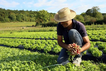 AU Potager Normand, Primeur Fruits et Légumes à Saint-Martin-de-Boscherville