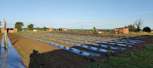 LES JARDINS D'ARS, Primeur Fruits et Légumes à Ars-les-Favets