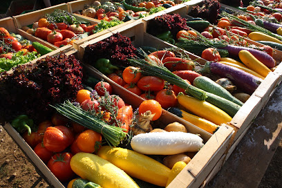 Paniers De Saison, Primeur - Fruits Et Légumes à Thury