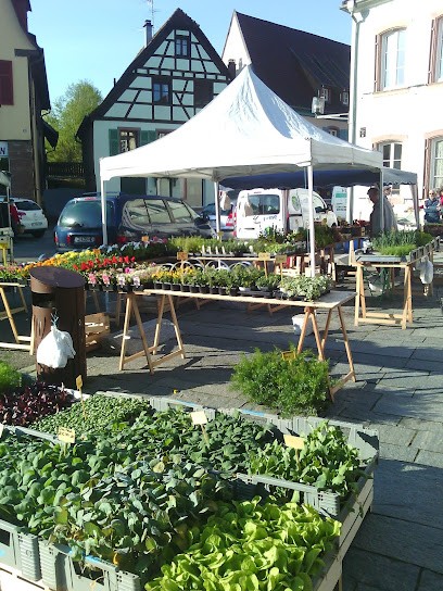 LES JARDINS DE L'UNGERSBERG, Primeur Fruits et Légumes à Triembach-au-Val