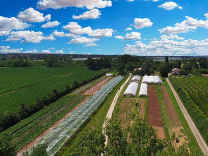 Le Jardin De Cantou, Primeur Fruits et Légumes à Lafrançaise