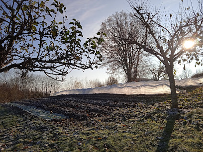 Les Jardins Des 3 Provinces - Maraîchage, Primeur - Fruits Et Légumes à Montcharvot