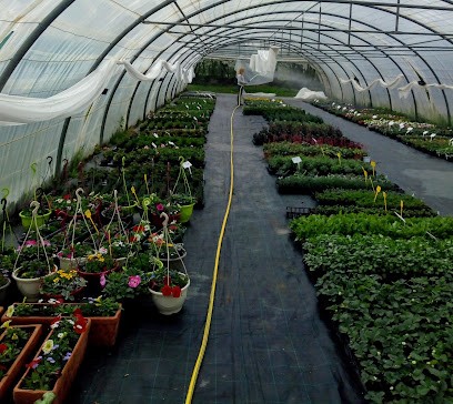 Au potager de Lanneau, Primeur Fruits et Légumes à Arconcey