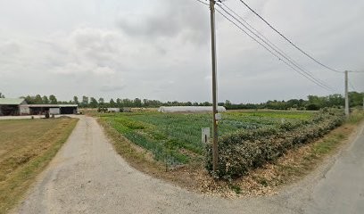 Pineau J.p.a, Primeur Fruits et Légumes au Perrier