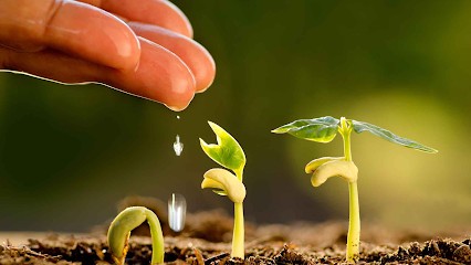 La Fontaine Rouge, Primeur Fruits et Légumes à Trouillas