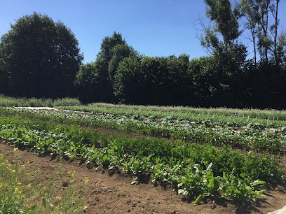 Le Jardin Des Saveurs, Primeur Fruits et Légumes à Saint-Julien-lès-Russey