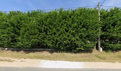Earl Gouard, Primeur Fruits et Légumes à Maslives