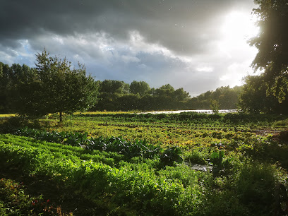 Les Jardins De Babelogne, Primeur - Fruits Et Légumes à Corbie