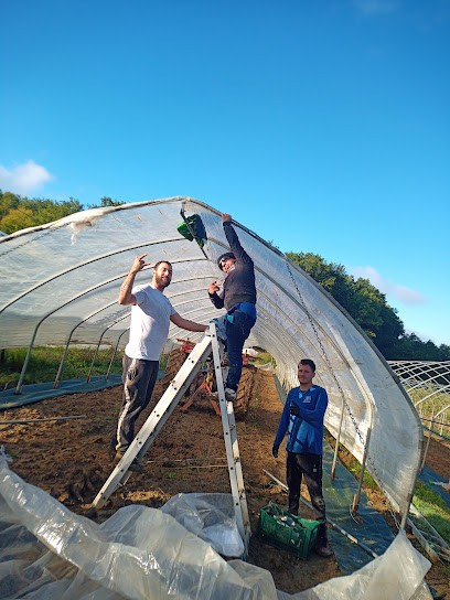 Earl La Boulbene, Primeur Fruits et Légumes à Montpezat