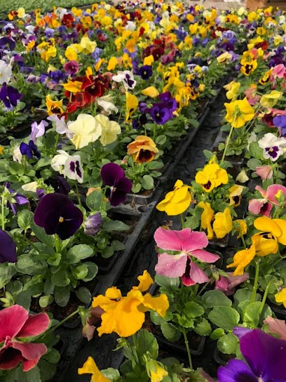 Gaec Rech, Primeur Fruits et Légumes à Bernac