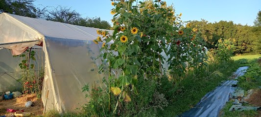 Les Jardins de Sémiramis, Primeur Fruits et Légumes à Benest