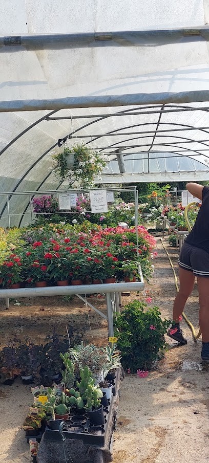 Bondu Florence, Primeur Fruits et Légumes au Pizou