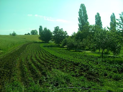 Curmont Passion, Primeur Fruits et Légumes à Saint-Paul-la-Roche