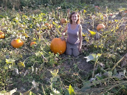 Aux Bio Légumes Du Bosquet, Primeur Fruits et Légumes à Auberchicourt