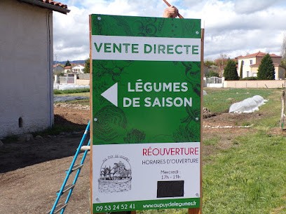 GAEC Au Puy De Légumes, Primeur Fruits et Légumes à Saint-Romain-le-Puy