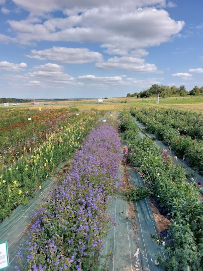 Cueillette De Muizon, Primeur Fruits et Légumes à Muizon