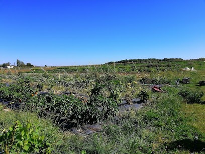 La Ferme Des Plaines, Primeur Fruits et Légumes à Ondreville-sur-Essonne
