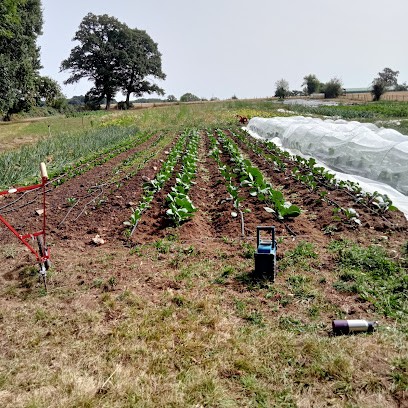 Aux Légumes de Facélie, Primeur Fruits et Légumes à Blond