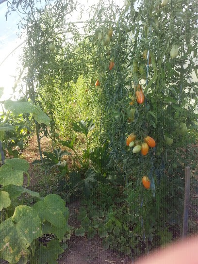 à Tout Bout De Champ, Primeur Fruits et Légumes à Vernon