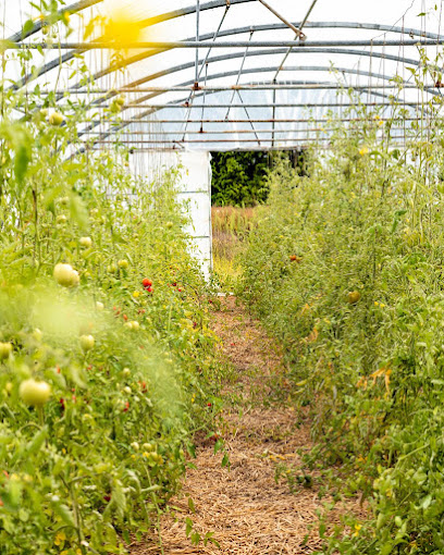 Le Potager De Saint Sauveur, Primeur - Fruits Et Légumes à Merlevenez