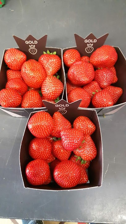 Au Coin Du Marche, Primeur Fruits et Légumes à Sedan