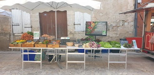 LABEL TERRE, Primeur Fruits et Légumes à Molières