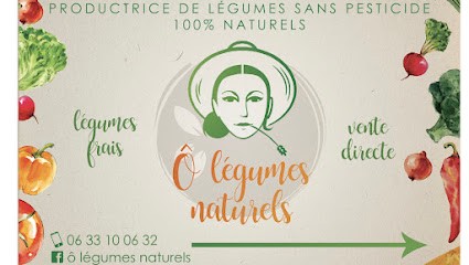 Ô Légumes Naturels, Primeur Fruits et Légumes à Tonnay-Charente