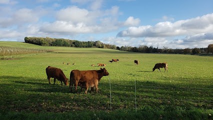 Les Vergers De La Haye, Primeur Fruits et Légumes à Villepreux