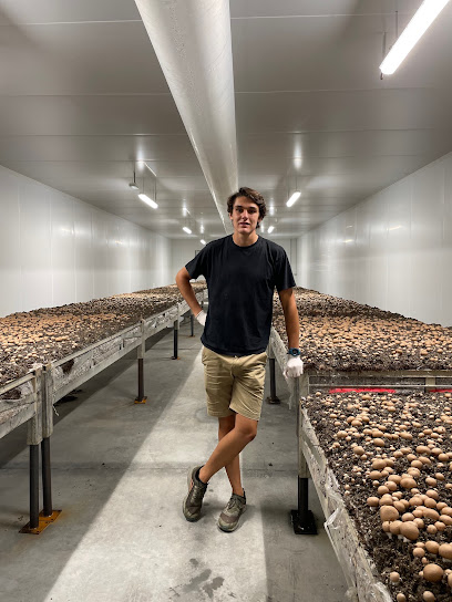 Les Champignons Garonnais, Primeur - Fruits Et Légumes à Dieupentale