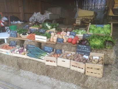 Les Jardins De La Linotte, Primeur Fruits et Légumes à Villefargeau