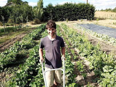 Les Jardins De La Valette Primeur - Fruits Et Légumes à Sanvensa