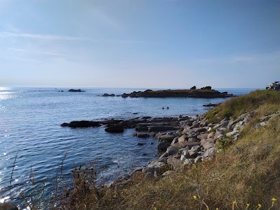 Earl Du Kernic, Primeur Fruits et Légumes à Plounévez-Lochrist