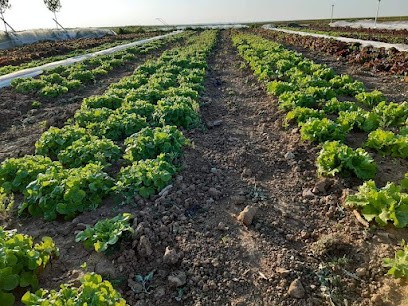 Jardin Bio Du Bois Ram'eau, Primeur Fruits et Légumes à Sergines