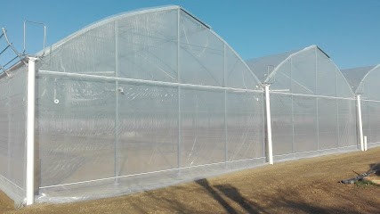 SCEA Demeter - Petit Carreau, Primeur Fruits et Légumes à Puch-d'Agenais