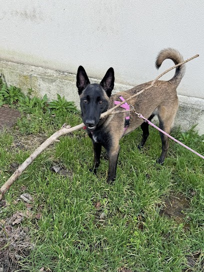 Evy 78, Primeur Fruits et Légumes à Rueil-Malmaison