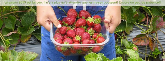 Les Fraises Du Clos de la Fontaine, Primeur Fruits et Légumes à Bouguenais