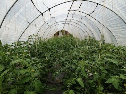 Les Jardins Du Joly, Primeur Fruits et Légumes à Thizy-les-Bourgs