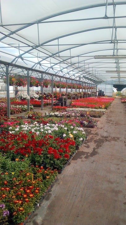 Péri André, Primeur Fruits et Légumes à Simandre