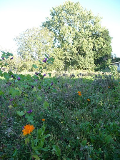 Les Jardins Des Mouchons, Primeur Fruits et Légumes à Vimy