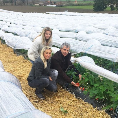 Visentine Earl, Primeur Fruits et Légumes à Saint-Vincent-Lespinasse