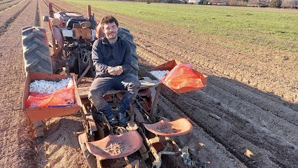 Légumes Bio Bergerac, Primeur Fruits et Légumes à Bergerac