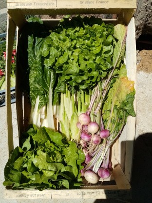 Le Temps Des Saisons, Primeur Fruits et Légumes au Ferré