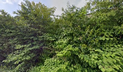 Ferme De Kerverec, Primeur Fruits et Légumes à Ploeren