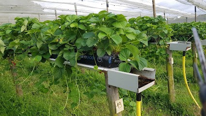 Garden Marigny, Primeur Fruits et Légumes à Sauvigny-les-Bois