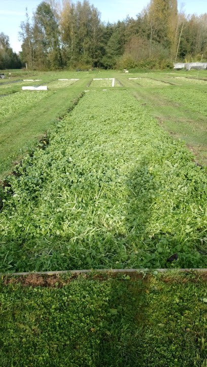 La Cressonniere De Tilques, Primeur Fruits et Légumes à Tilques