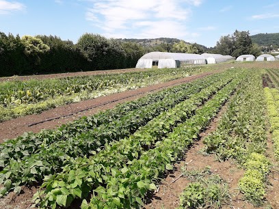 Jardin Du Perron, Primeur Fruits et Légumes à Arzay