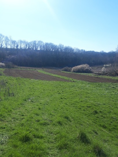 A La Ferme De Waleppe, Primeur Fruits et Légumes à Sévigny-Waleppe