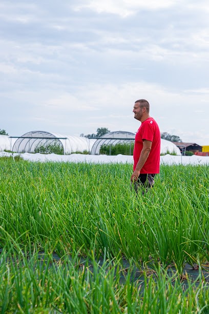 Au Grand Jardin, Primeur Fruits et Légumes à Lostroff