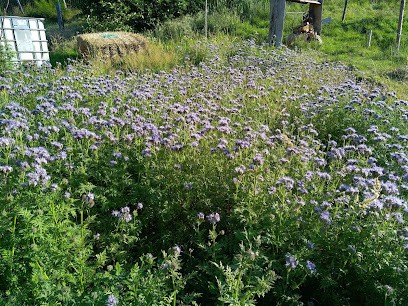 Le Domaine De Maison Blanche, Primeur Fruits et Légumes à Satillieu